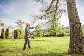 Best Aeration Services  in Sinton, TX
