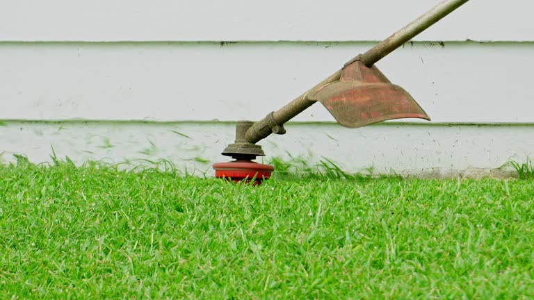 Best Lawn Irrigation Installation and Maintenance  in Sinton, TX